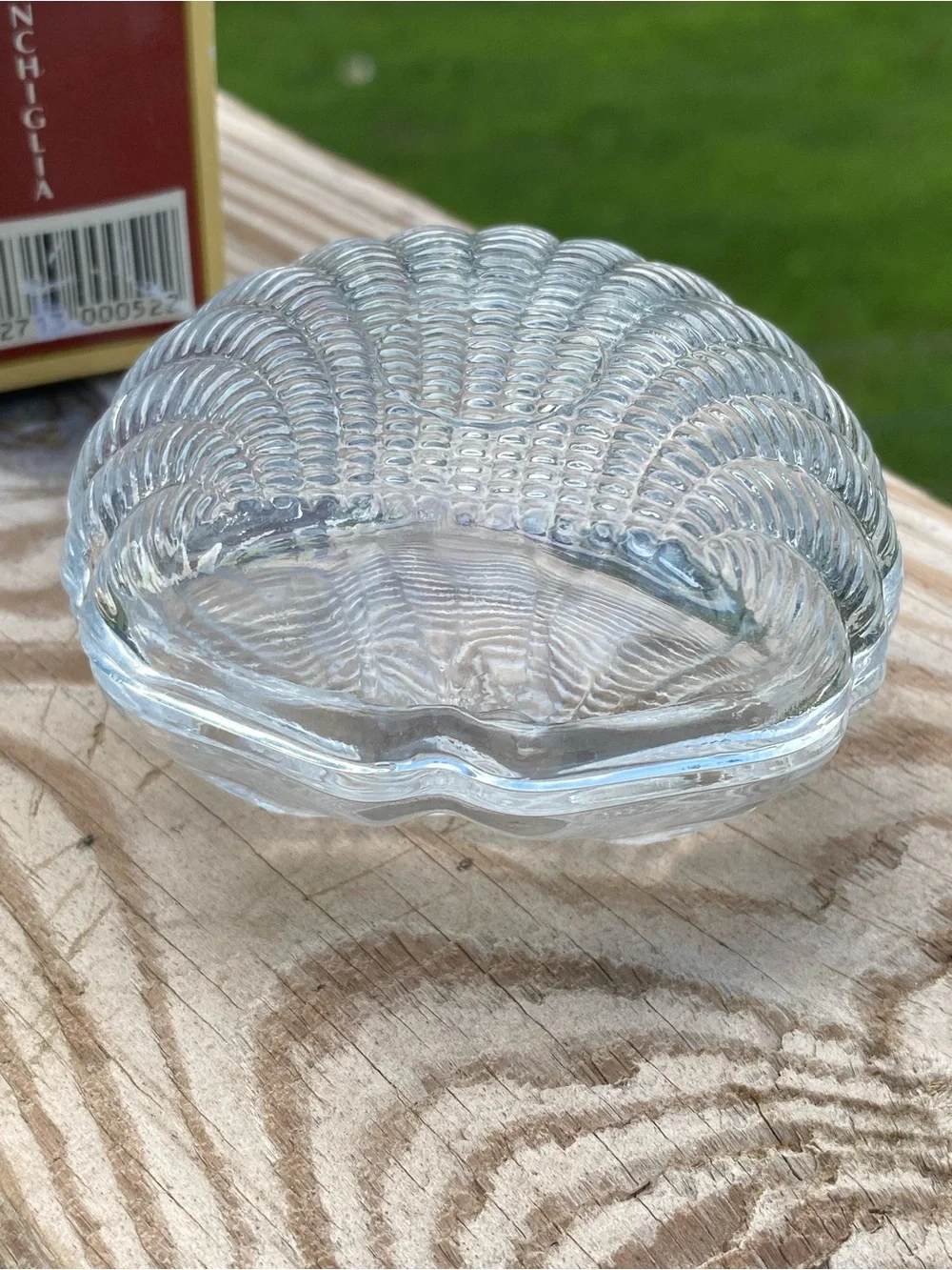 Clear Glass Shell Trinket Box - Decorative Sea Shell